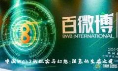 中国Web3的现实与幻想：深