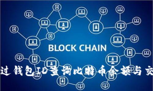 如何通过钱包ID查询比特币余额与交易记录