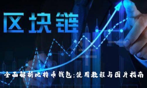 全面解析比特币钱包：使用教程与图片指南