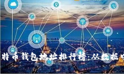 揭示2023年比特币钱包地址排行榜：从数据中看财富与趋势