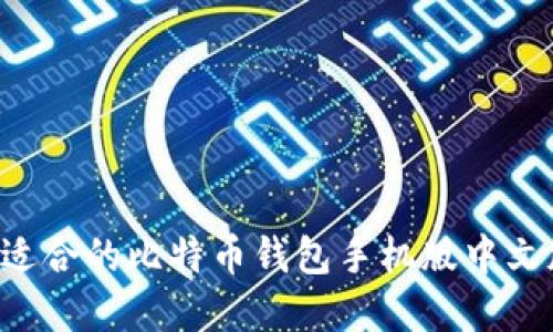 如何选择最适合的比特币钱包手机版中文版：实用指南