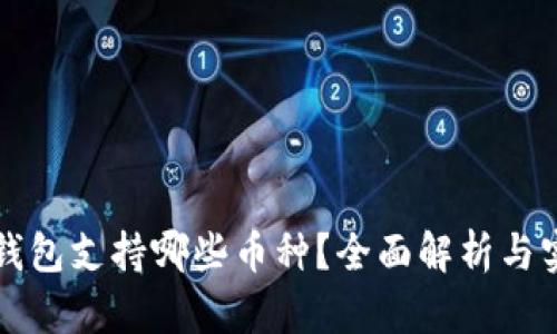 比特派钱包支持哪些币种？全面解析与实用指南