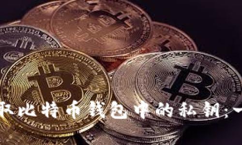 如何安全提取比特币钱包中的私钥：一份实用指南