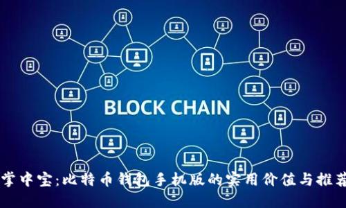 掌中宝：比特币钱包手机版的实用价值与推荐