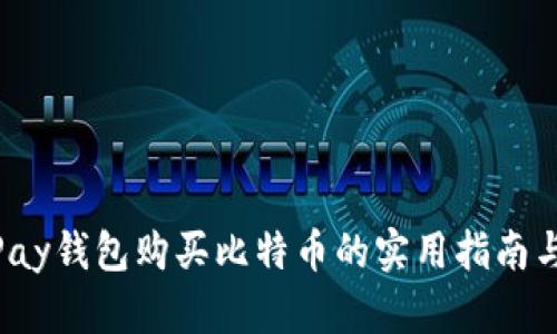 使用Pay钱包购买比特币的实用指南与优势