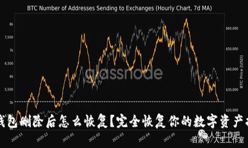 TP钱包删除后怎么恢复？完全恢复你的数字资产指南