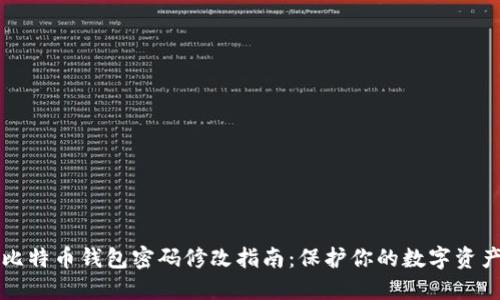 比特币钱包密码修改指南：保护你的数字资产