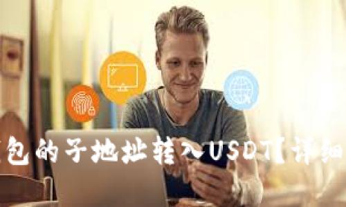 如何将比特币钱包的子地址转入USDT？详细指南与实用技巧