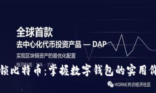 解锁比特币：掌握数字钱包的实用价值