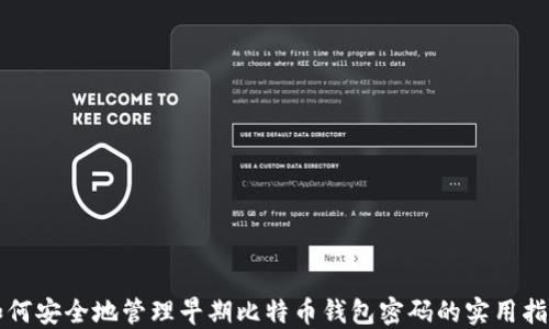 
如何安全地管理早期比特币钱包密码的实用指南