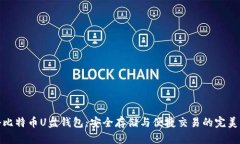 揭秘比特币U盘钱包：安全