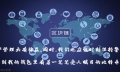 货币钱包可以存比特币吗