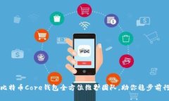 比特币Core钱包全方位维护