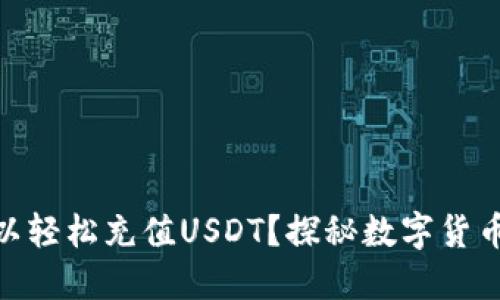 哪个钱包可以轻松充值USDT？探秘数字货币的选择之道
