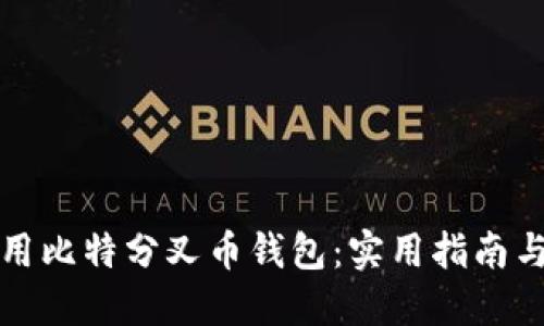 如何选择和使用比特分叉币钱包：实用指南与个人经验分享