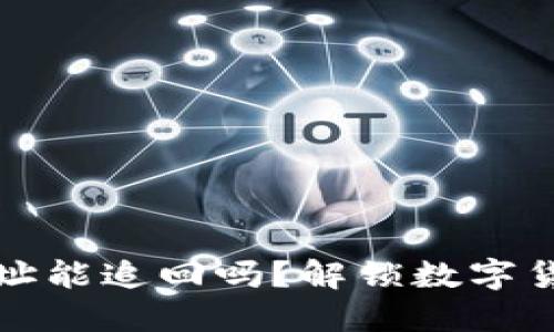 TP钱包转错地址能追回吗？解锁数字货币管理的秘密