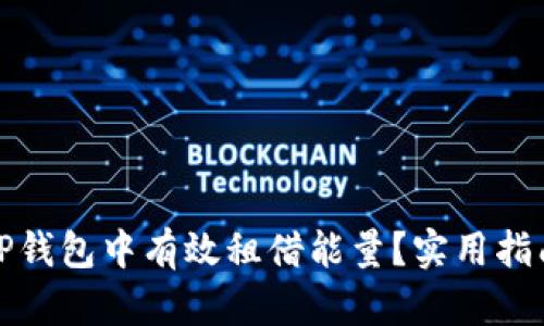 如何在TP钱包中有效租借能量？实用指南与技巧