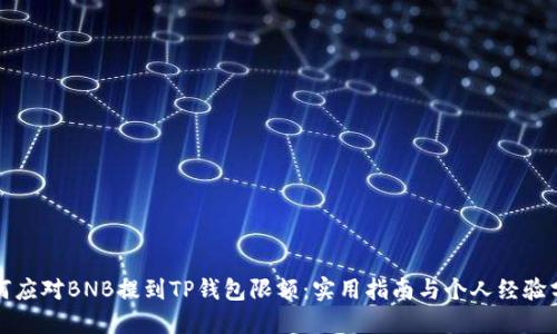 如何应对BNB提到TP钱包限额：实用指南与个人经验分享