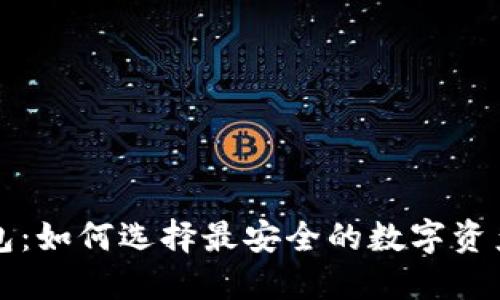 比特币钱包：如何选择最安全的数字资产保护方案