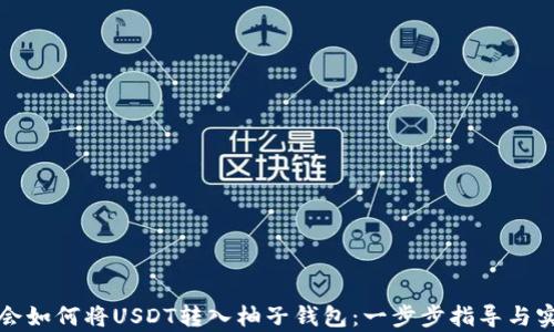 
轻松学会如何将USDT转入柚子钱包：一步步指导与实用技巧