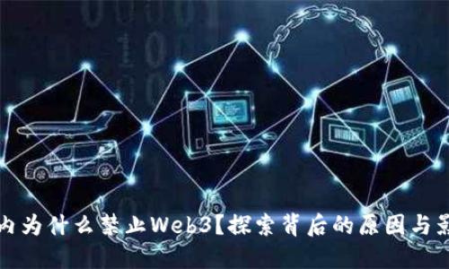 国内为什么禁止Web3？探索背后的原因与影响