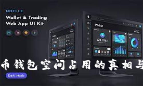 比特币钱包空间占用的真相与技巧