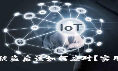 TP钱包币被盗后该如何应对？实用指南解析