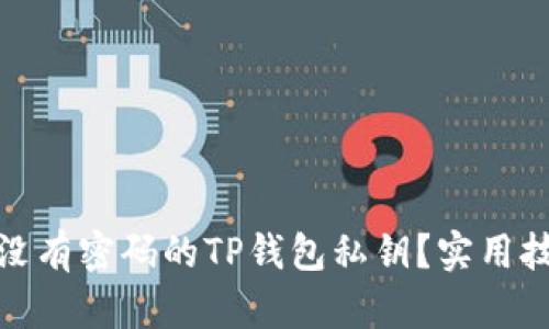 如何找回没有密码的TP钱包私钥？实用技巧大揭秘