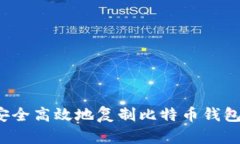 如何安全高效地复制比特