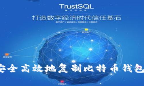 如何安全高效地复制比特币钱包支付？