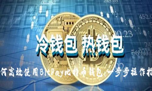 如何高效使用BitPay比特币钱包：一步步操作指南