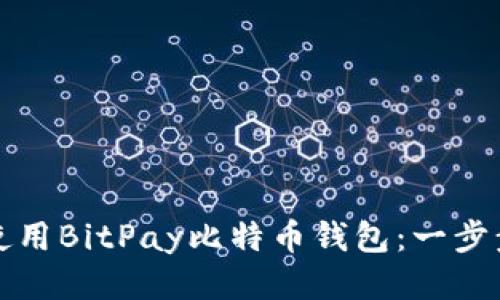 如何高效使用BitPay比特币钱包：一步步操作指南