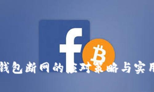 比特币热钱包断网的应对策略与实用价值解析