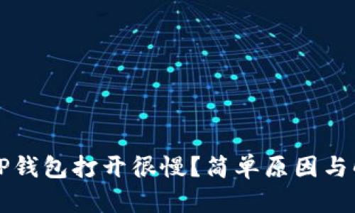 为什么TP钱包打开很慢？简单原因与解决技巧