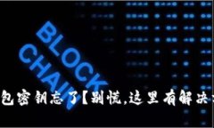 TP钱包密钥忘了？别慌，这
