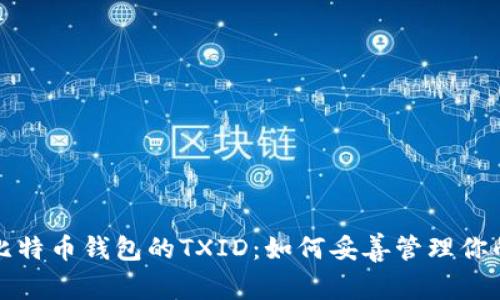 深入解析比特币钱包的TXID：如何妥善管理你的交易信息