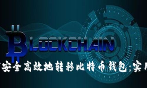 如何安全高效地转移比特币钱包:实用指南