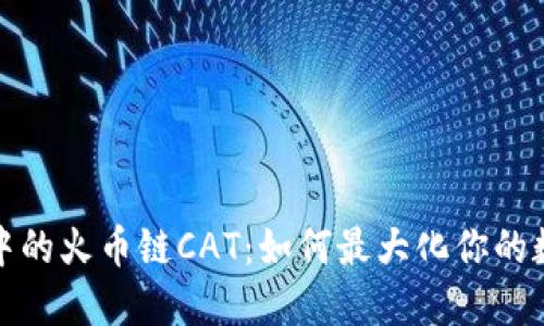 揭秘TP钱包中的火币链CAT：如何最大化你的数字资产价值