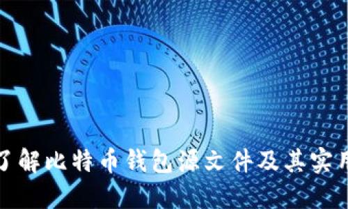 全面了解比特币钱包源文件及其实用价值
