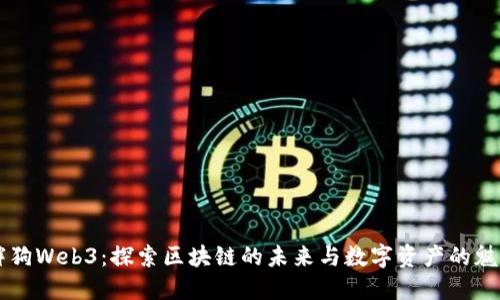胖狗Web3：探索区块链的未来与数字资产的魅力