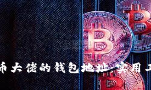 探索比特币大佬的钱包地址：实用工具与解析