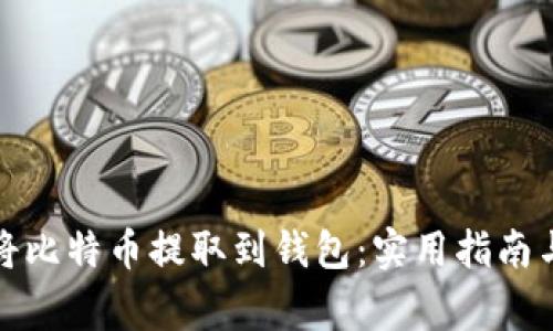 如何安全将比特币提取到钱包：实用指南与注意事项