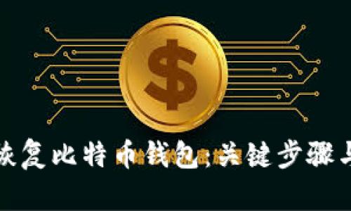 如何有效恢复比特币钱包：关键步骤与实用技巧