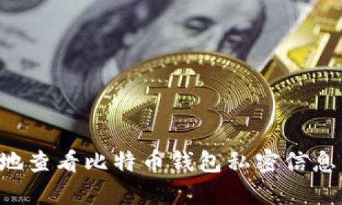 如何安全地查看比特币钱包私密信息：实用指南