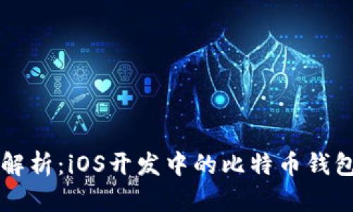 全面解析：iOS开发中的比特币钱包应用