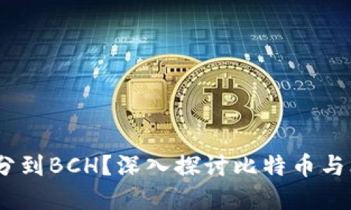 比特币在钱包里,能不能分到BCH?深入探讨比特币与比特币现金的关系与影响