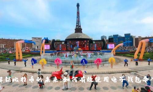 解锁比特币的未来：如何有效使用电子钱包命令