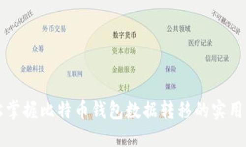 轻松掌握比特币钱包数据转移的实用指南