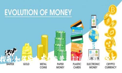 实用指南：如何安全存储与管理11月比特币分叉的钱包