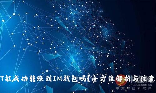 USDT能成功转账到IM钱包吗？全方位解析与注意事项